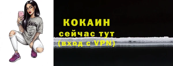 бошки Каменка