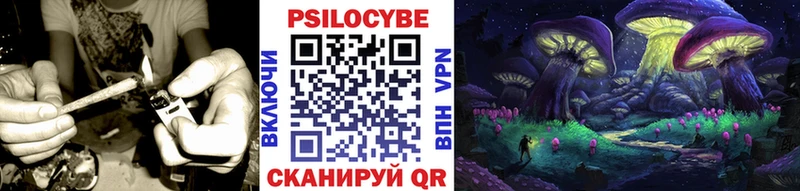 Галлюциногенные грибы MAGIC MUSHROOMS Высоковск